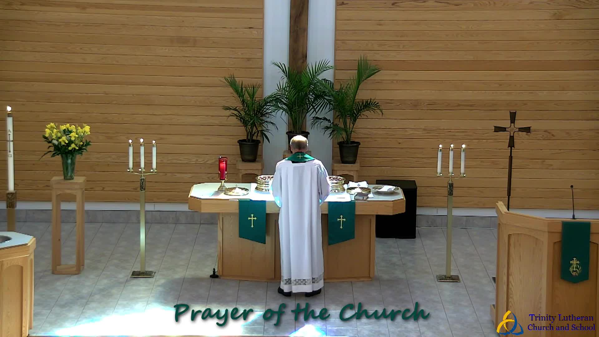 Thumbnail image for Trinity Lutheran Church Service 6/02/2024