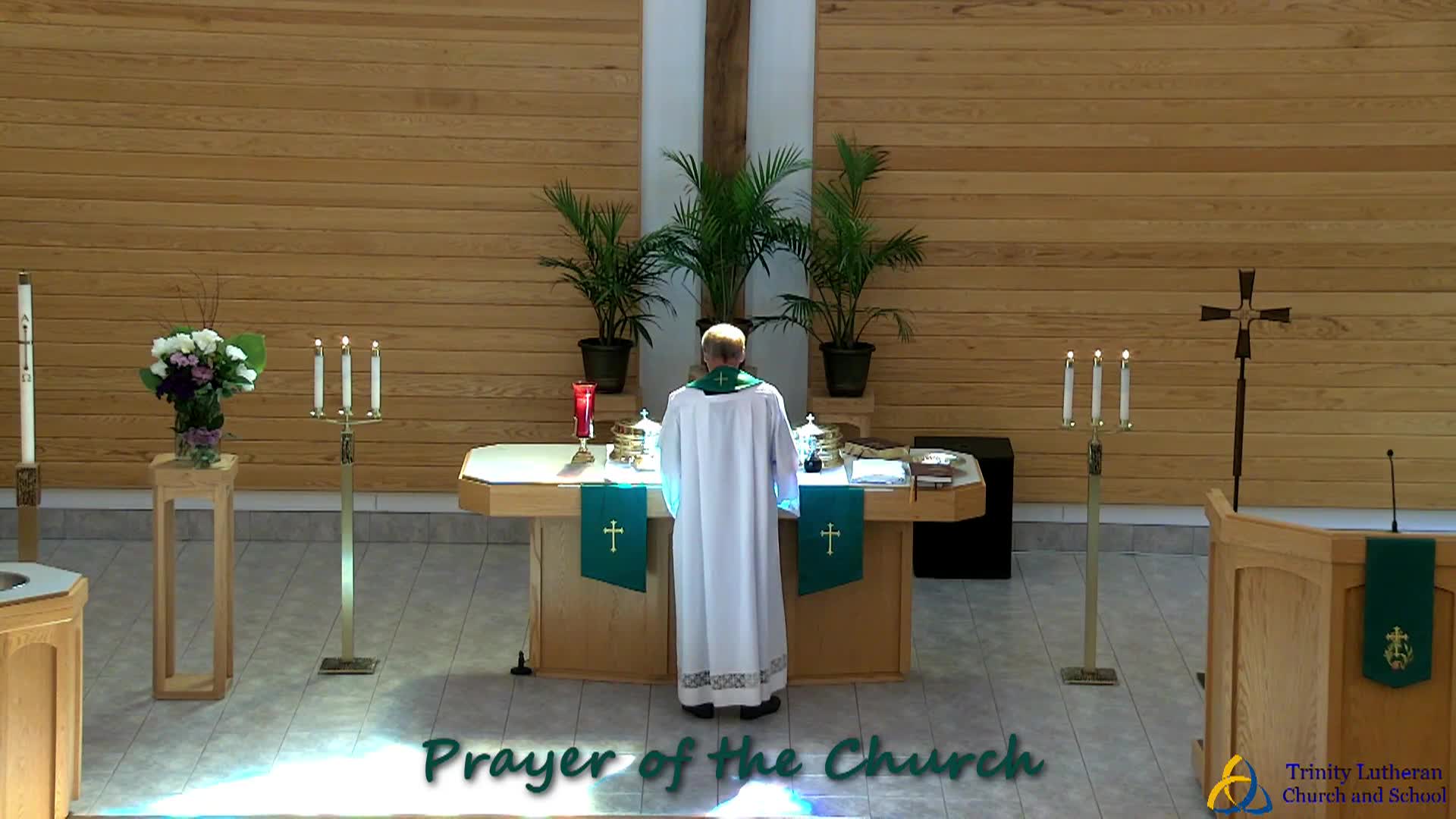 Thumbnail image for Trinity Lutheran Church Service - 6/09/2024