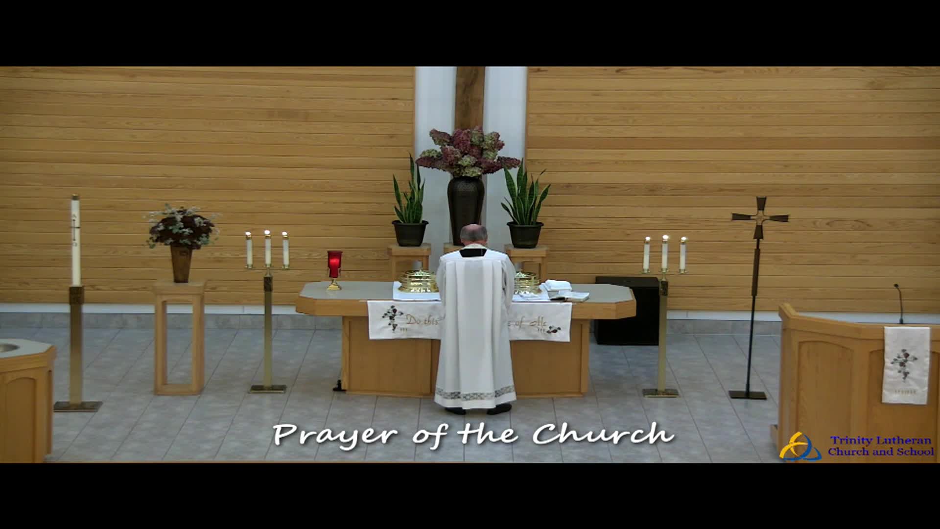 Trinity Lutheran Church Service 11/9/2025