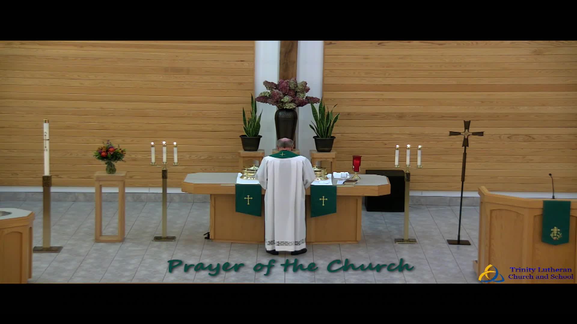Trinity Lutheran Church Service 11/16/2025