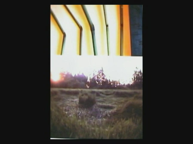 UFOs and the Paranormal - Crop Circle Consciousness