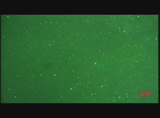 UFOs and the Paranormal - ET: The New Agenda