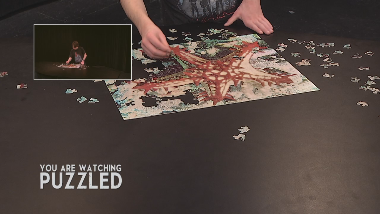 Thumbnail image for Puzzled - A Star Is Born - Part 6