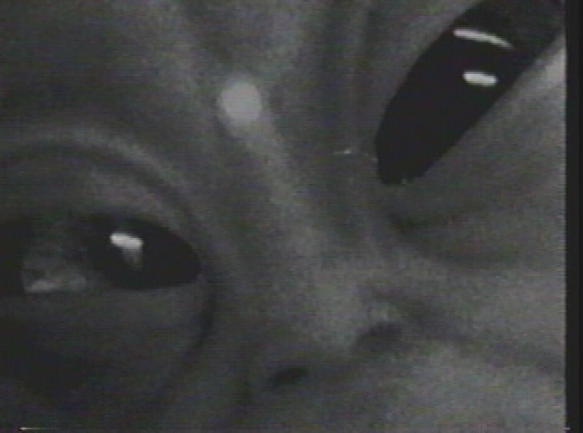 UFOs and the Paranormal - Alien Boot Camp