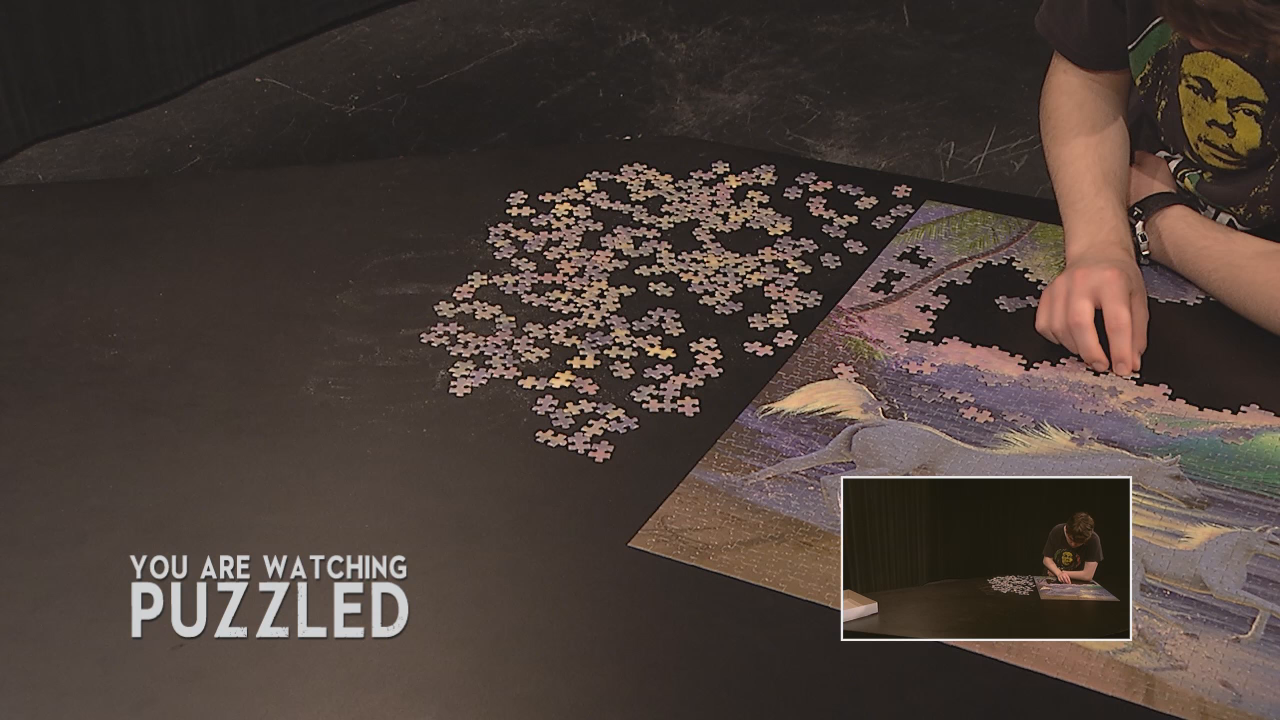 Thumbnail image for Puzzled: Wild Horses - The Complete Puzzle