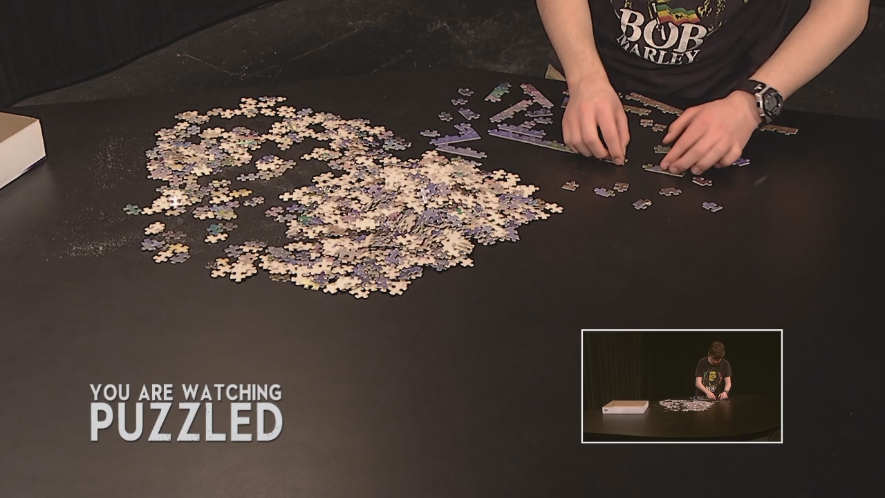 Puzzled: Wild Horses - Part 1