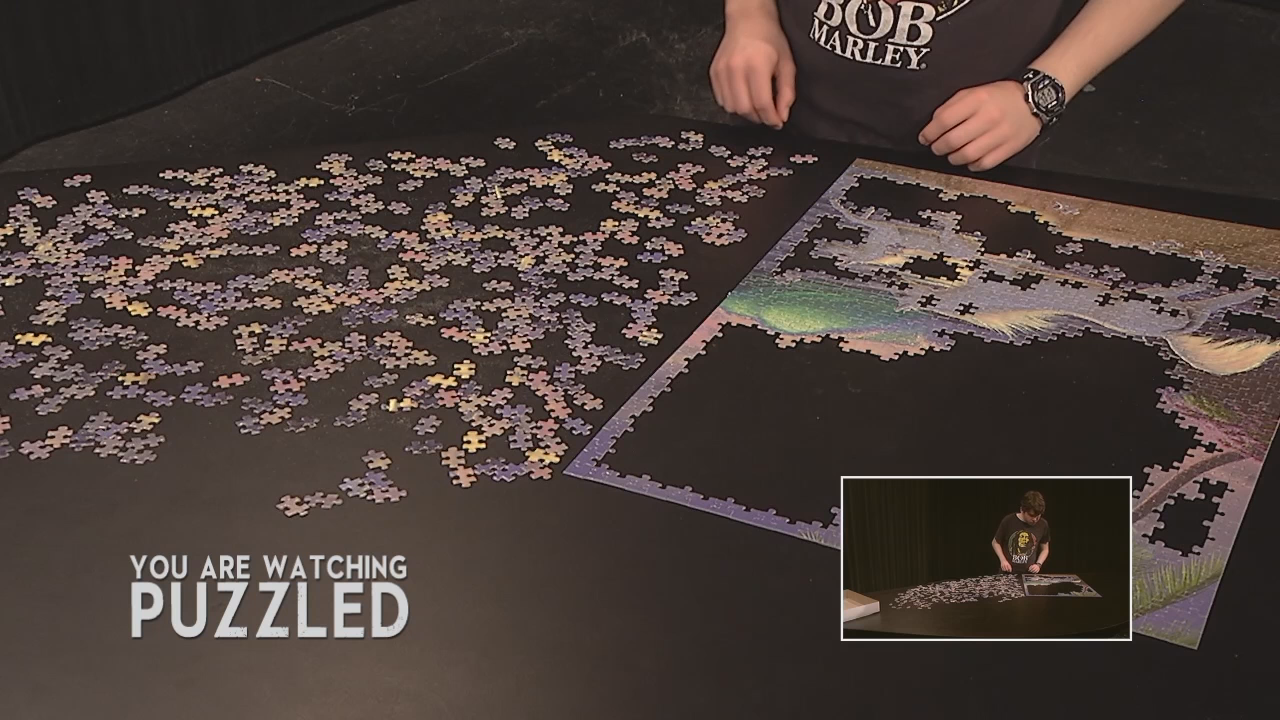 Puzzled: Wild Horses - Part 3