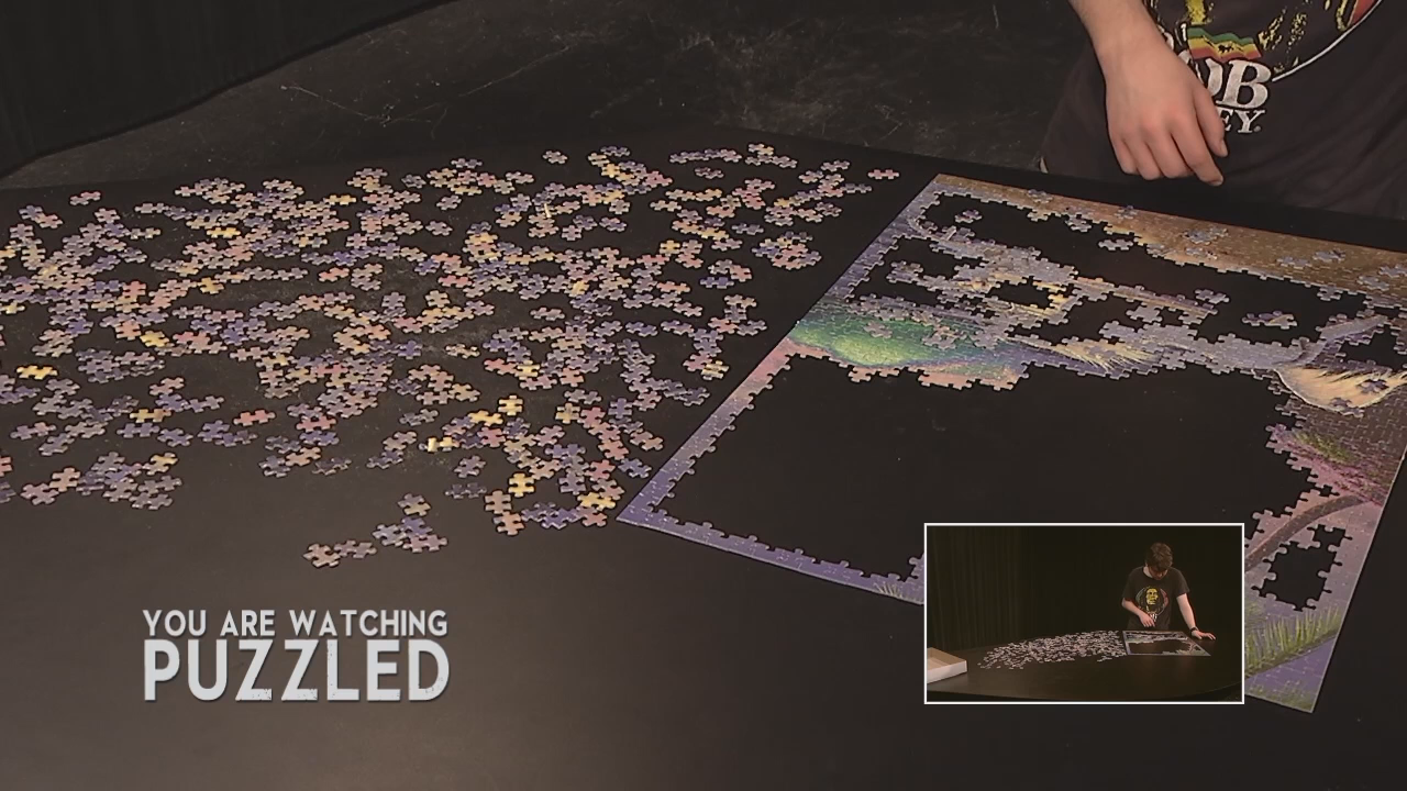 Puzzled: Wild Horses - Part 4