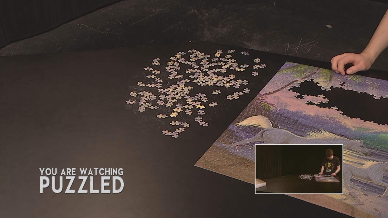 Puzzled: Wild Horses - Part 5