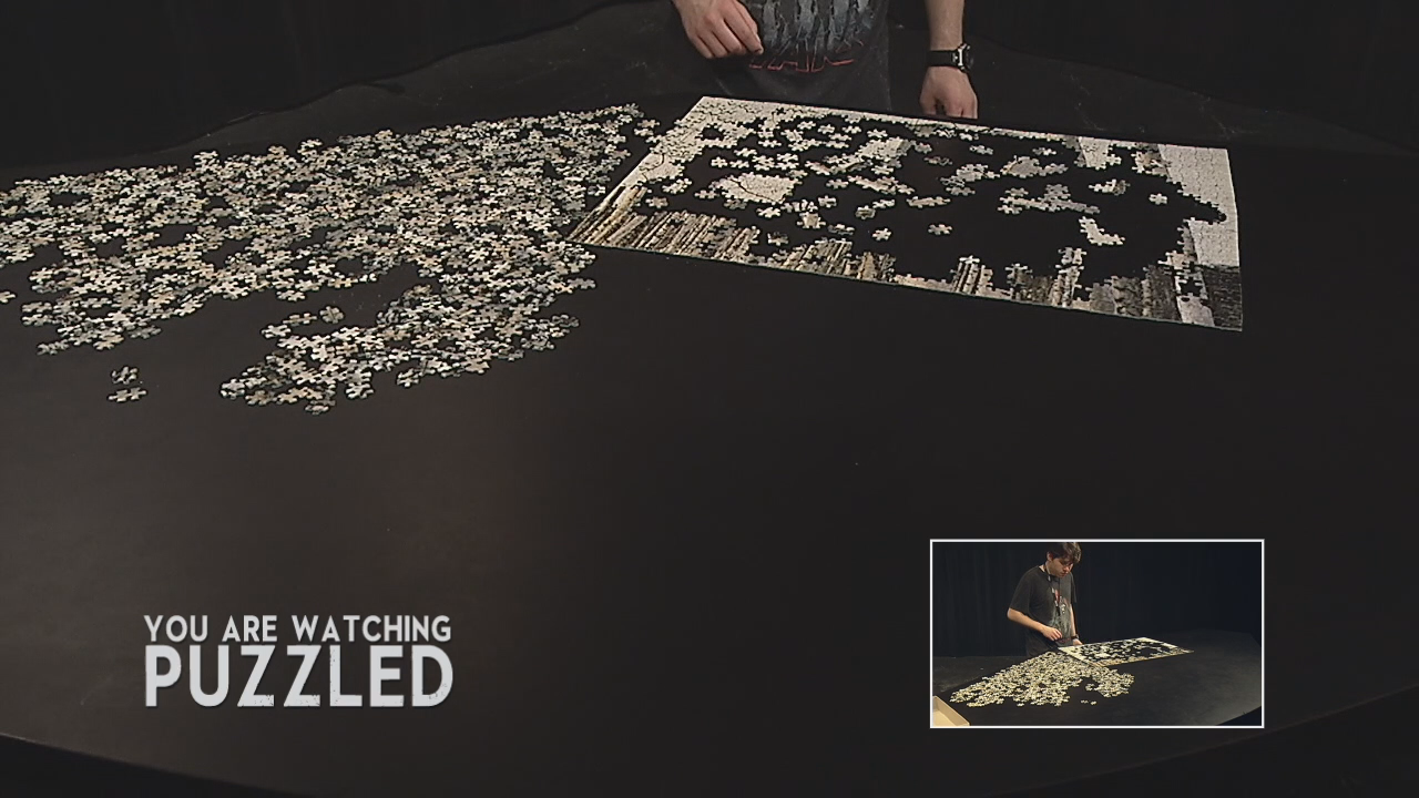 Puzzled: Tyger, Tyger - Part 6