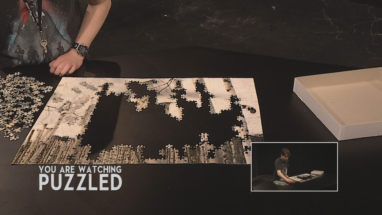 Puzzled: Tyger, Tyger - Part 7