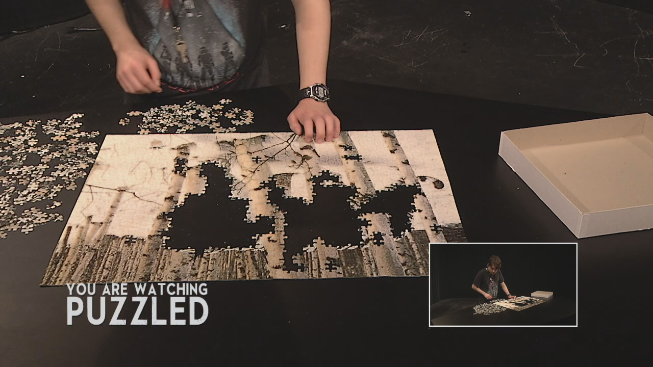 Puzzled: Tyger, Tyger - Part 8