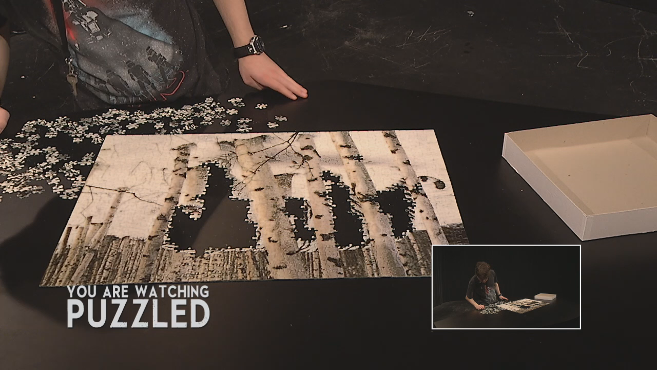 Puzzled: Tyger, Tyger - Part 9