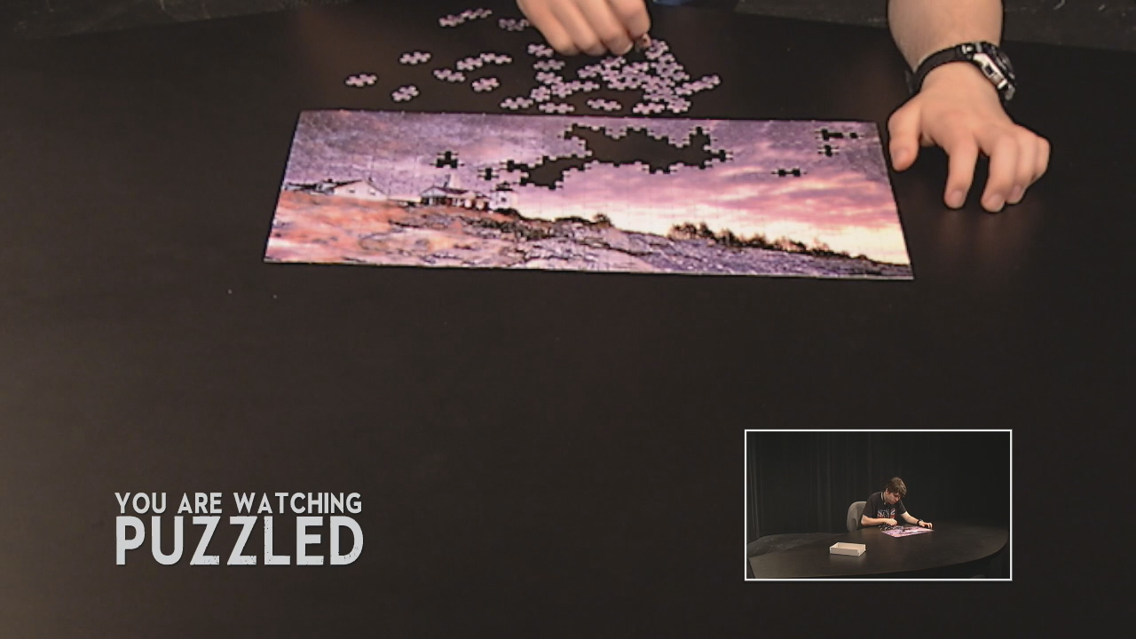 Puzzled - Purple Haze, Part 3