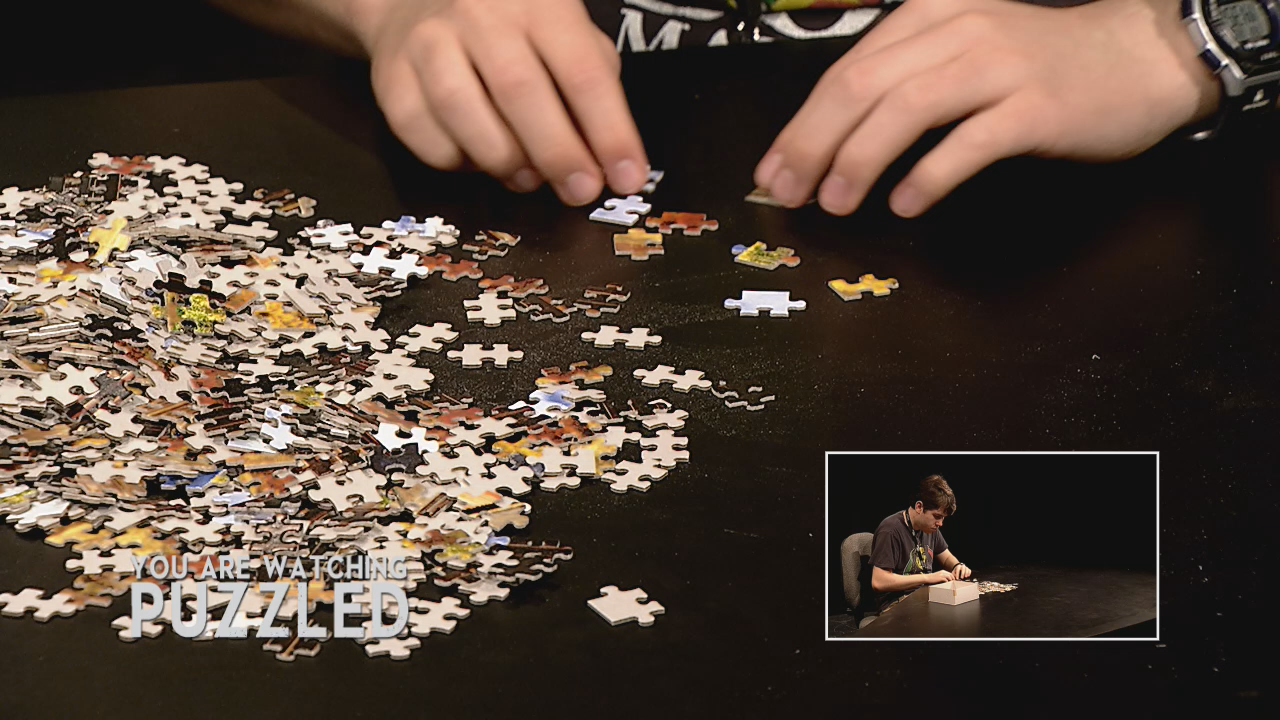 Puzzled - Barny Miller - The Complete Puzzle