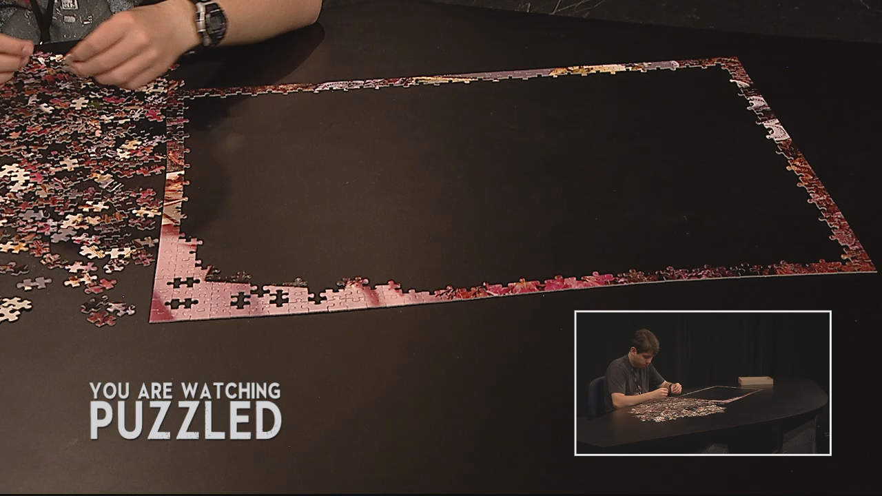Thumbnail image for Puzzled: Grandma's House - The Complete Puzzle