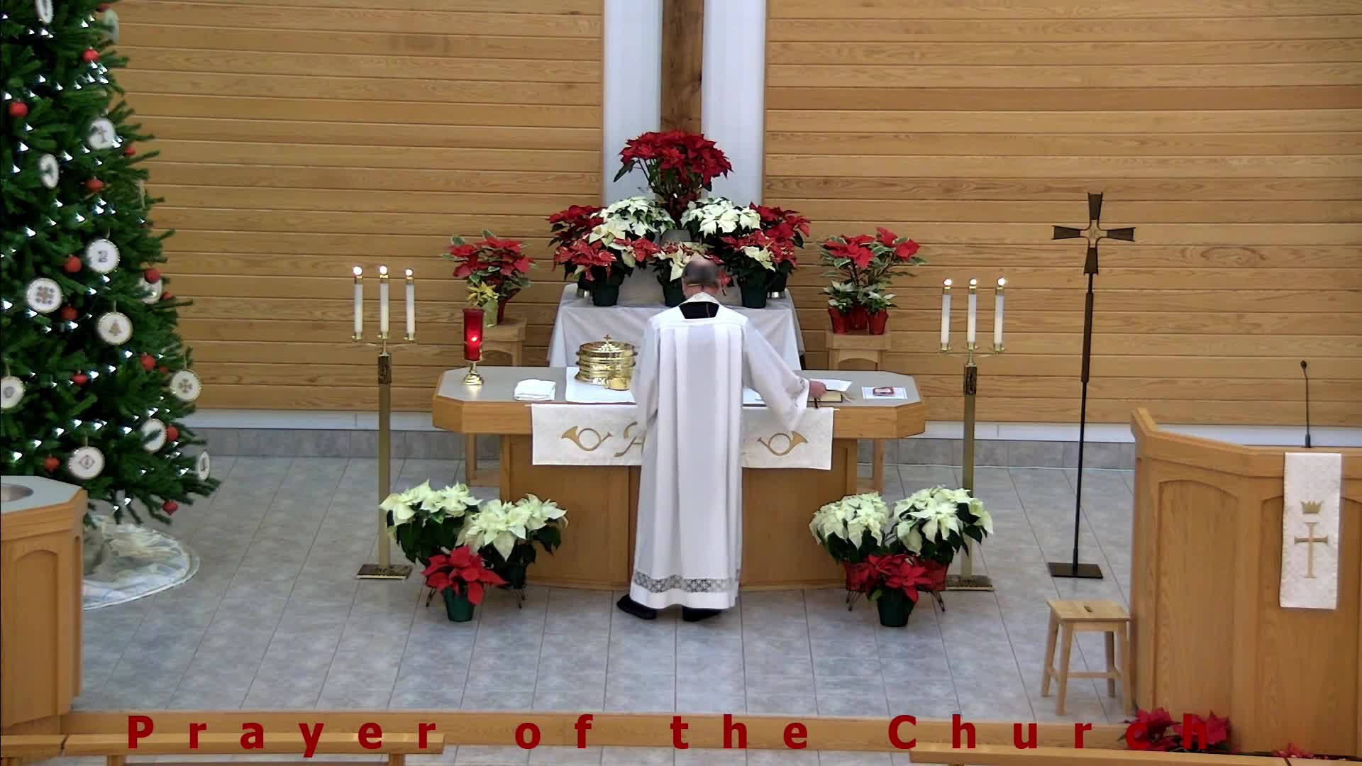 Thumbnail image for Trinity Lutheran Church Service 1/2/2022