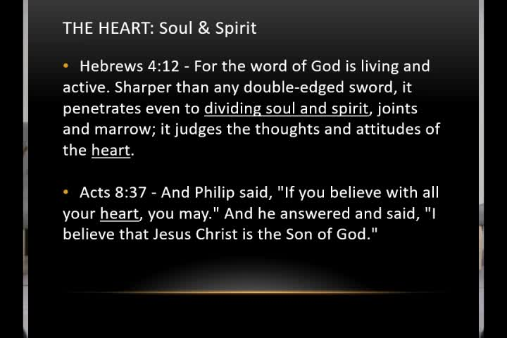 Thumbnail image for Oak Park Community Church - The Heart - Elder David Turnidge